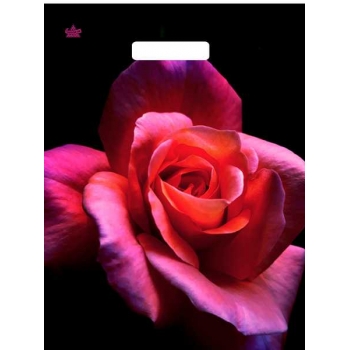 Мешок 40х31см ПВД 60мкм глянцевый с вырубной ручкой, Малиновая роза арт.н00268706