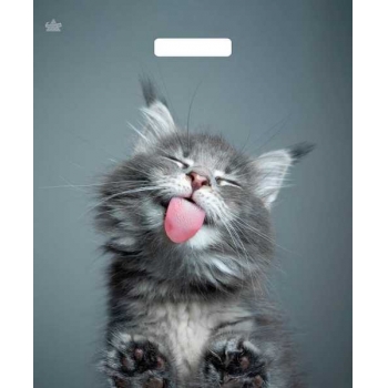 Мешок 45х38см ПВД 60мкм ламинированный с вырубной ручкой, Кот арт.н00213119