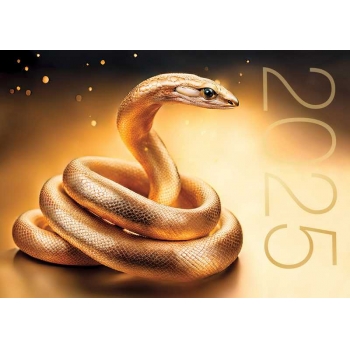 Календарь настенный на пружине на 2025г.30х46см Символ года с метал. окантовкой арт.24с41_Символ года