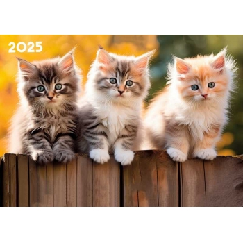 Календарь настенный на пружине на 2025г.30х46см Котята с метал. окантовкой арт.24с41_Котята