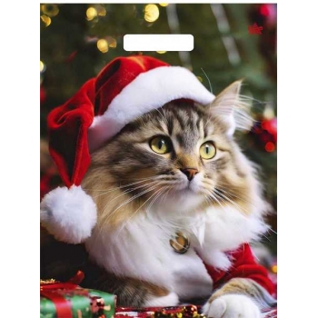 Мешок  новогодний 40х31см ПВД 60мкм глянцевый с вырубной ручкой, Новогодний Мур арт.н00267924 Мешок  новогодний 40х31см ПВД 60мкм глянцевый с вырубной ручкой, Новогодний Мур арт.н00267924