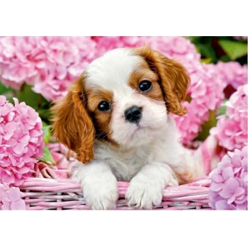 Календарь настенный квартальный на 2025г. (3 пружины) №89 Щенок арт.22С623_Щенок