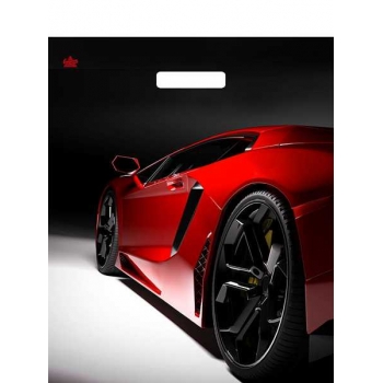 Мешок 45х38см ПВД 60мкм глянцевый с вырубной ручкой, Автошик арт.н00277788