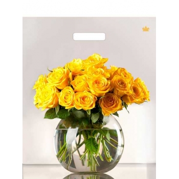 Мешок 45х38см ПВД 60мкм ламинированный с вырубной ручкой, Восхищение арт.н00277789