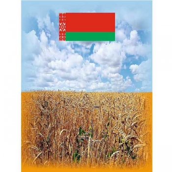Записная книжка 107*140мм Белорусская символика. Флаг РБ 64л, клетка, обл. ламинир. картон арт.21с101.1