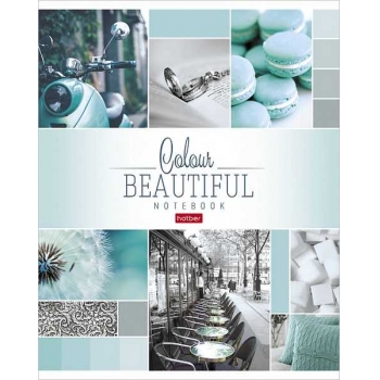 Тетрадь 96л в клетку Hatber Beautiful colour, ассорти арт.96Т5В1/046858