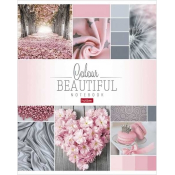 Тетрадь 96л в клетку Hatber Beautiful colour, ассорти арт.96Т5В1/046858