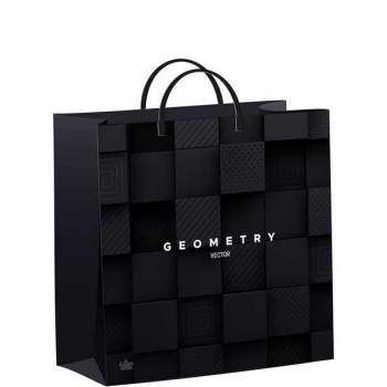 Мешок 30х30х9см мягкий пластик 140мкм ламинированный с пластиковой ручкой, Вектор геометрии арт.н00269533