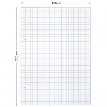 Блок сменный А5 80л для тетрадей на кольцах BG, белый арт.СБ5ту80 12357