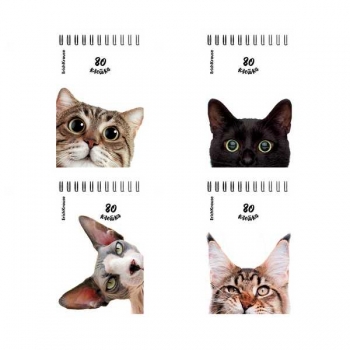 Блокнот А6 80л на гребне ErichKrause Котики в клетку арт.54296