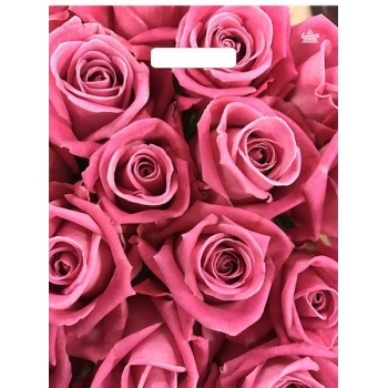 Мешок 40х31см ПВД 60мкм ламинированный с вырубной ручкой, Джейми арт.н00292235