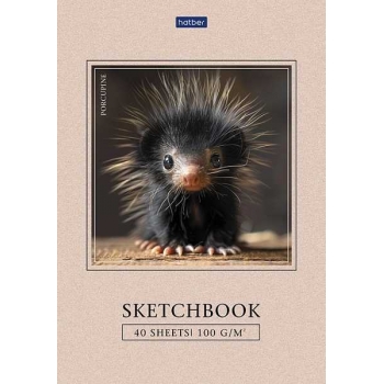 Скетчбук-блокнот А5 40л. на склейке Hatber Крошка дикобраз, 100г/м2, глянц. лам., жесткая подложка арт.40Б5лAк/087784 Скетчбук-блокнот А5 40л. на склейке Hatber Крошка дикобраз, 100г/м2, глянц. лам., жесткая подложка арт.40Б5лAк/087784