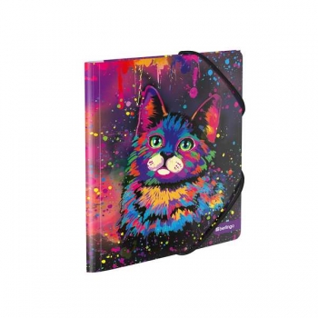 Папка А5+ на резинках Berlingo Colormix А5+, с рисунком, ассорти арт.FB4_A403F