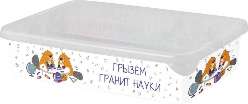 Лоток для мелочей Keeplex School с крышкой малый 20,4х14х5,2см арт.KL2254 11 623 Лоток для мелочей Keeplex School с крышкой малый 20,4х14х5,2см арт.KL2254 11 623