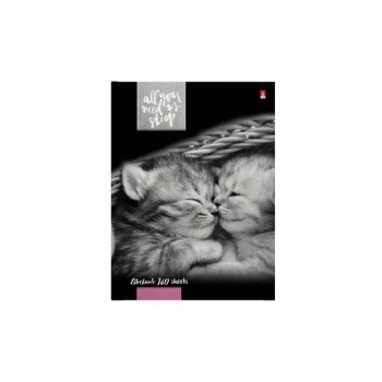 Блокнот А6 160л. престиж КОТЯТА МУР-МУР, клетка, тв. обл., глянц. ламинация арт.3-160-002/41