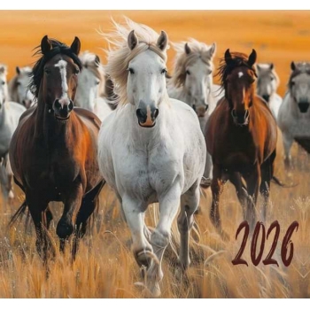 Календарь настенный МИНИ на 2026г.Табун 9х16,5см на 1пружине(на магните) арт.25С43_Табун