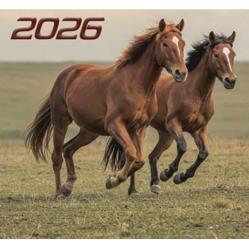 Календарь настенный МИНИ на 2026г.Пара лошадей 9х16,5см на 1пружине(на магните) арт.25С43_Пара лошадей