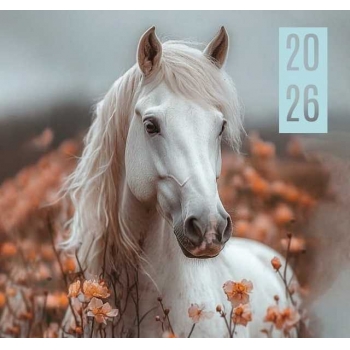 Календарь настенный МИНИ на 2026г.Белая лошадь 9х16,5см на 1пружине(на магните) арт.25С43_Белая лошадь