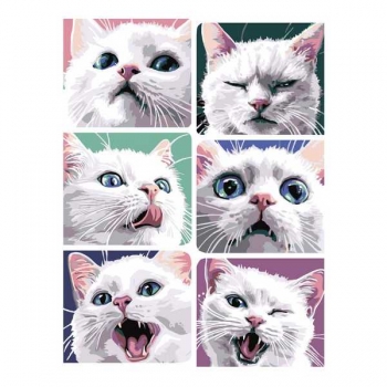 Набор для рисования по номерам, картина 31х40 см Эмоции котика (холст на подрамнике, краски, кисть) арт.Рх-201