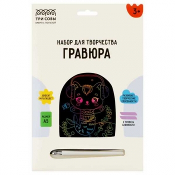 Набор для детского творчества - Гравюра ТРИ СОВЫ малая с эффектом мультицвет Музыка арт.GA5_49951
