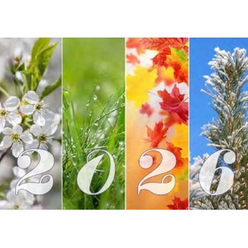 Календарь настенный квартальный на 2026г. (3 пружины) №49 Времена года арт.22с623_Времена года