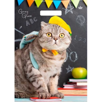 Мешок 43х31,5см ПВД 50мкм  с вырубной ручкой, Грэй Глосс  Кот арт.н00294327