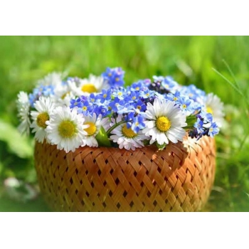 Календарь настенный квартальный на 2026г. (3 пружины) №56 Корзина с цветами арт.22с623_Корзина с цветами