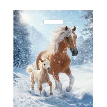 Мешок  новогодний 45х38см ПВД 60мкм глянцевый с вырубной ручкой, Дуэт арт.н00287913