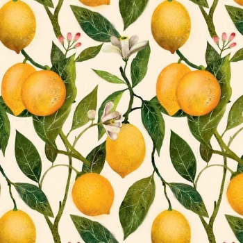 Бумага подарочная 70*100см,  Bruno Visconti FLORA.LEMONS в рулонах, 80 г/м2, 1 лист  арт.2-811/04 Бумага подарочная 70*100см,  Bruno Visconti FLORA.LEMONS в рулонах, 80 г/м2, 1 лист  арт.2-811/04
