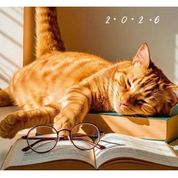 Календарь настенный МИНИ на 2026г.Ученый кот 9х16,5см на 1пружине(на магните) арт.25С43_Ученый кот