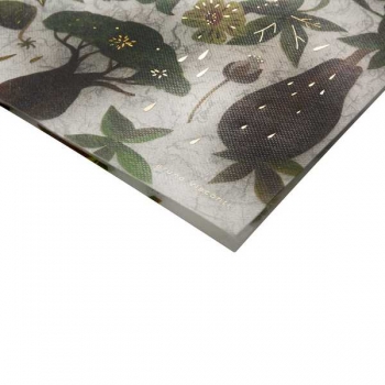 Папка на молнии А4  Bruno Visconti (330х245х30 мм),FLORA.СКАЗОЧНЫЙ ЛЕС,180мкм,полупрозр.,с рисунком арт. арт.14-037/09 Папка на молнии А4  Bruno Visconti (330х245х30 мм),FLORA.СКАЗОЧНЫЙ ЛЕС,180мкм,полупрозр.,с рисунком арт. арт.14-037/09