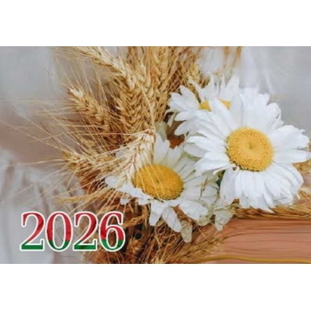 Календарь настенный квартальный на 2026г. (3 пружины) №16 Ромашки арт.22с623_Ромашки Календарь настенный квартальный на 2026г. (3 пружины) №16 Ромашки арт.22с623_Ромашки