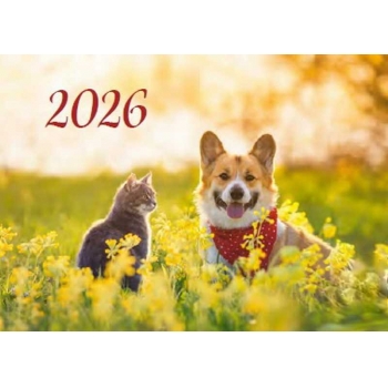 Календарь настенный квартальный на 2025г. (3 пружины) №91 Друзья арт.22С623_Друзья Календарь настенный квартальный на 2025г. (3 пружины) №91 Друзья арт.22С623_Друзья