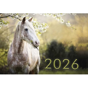 Календарь настенный квартальный на 2026г. (3 пружины) Белая лошадь с мет. окантовкой арт.25с42_Белая лошадь