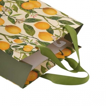 Пакет подарочный 26х32,4х13см бумажный Bruno Visconti FLORA.ЛИМОНЫ,210 г/м2,фольгир,мат. ламинация арт.2-852/09