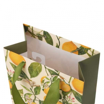 Пакет подарочный 18х23х10см бумажный Bruno Visconti FLORA.ЛИМОНЫ,210 г/м2,фольгир,мат.ламин. арт.2-851/09