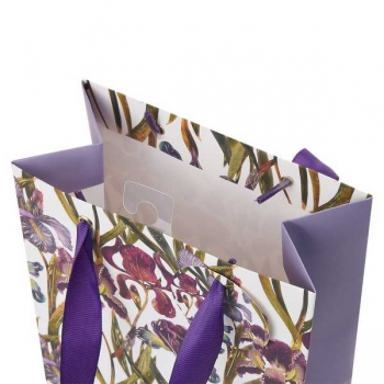 Пакет подарочный 18х23х10см бумажный Bruno Visconti FLORA.ИРИСЫ,210 г/м2,фольгир,мат.ламин. арт.2-851/10