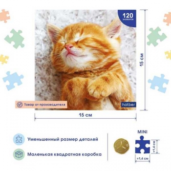Пазл 120 эл. Hatber Premium Рыжий котик, 150х150мм арт.120ПЗ5_32024