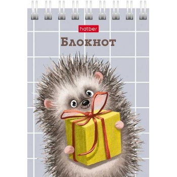 Блокнот А7 40л на гребне Hatber Хорошо быть ёжиком в клетку, ассорти 6 видов арт.40Б7В1гр/081183