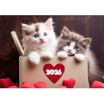 Календарь настенный квартальный на 2026г. (3 пружины) №89 Котята арт.22с623_Котята