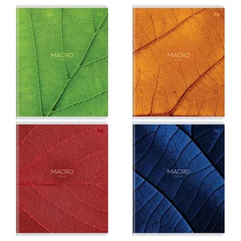 Тетрадь 96л в клетку BG Macro, матовая ламинация арт.Т5ск96_лм 09062