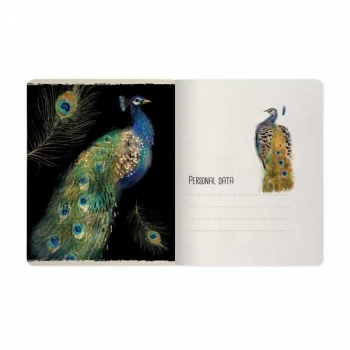 Тетрадь 48л в клетку Bruno Visconti FAUNA.ANIMALS,  ассорти 5 видов арт.7-48-1393