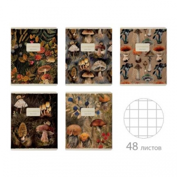 Тетрадь 48л в клетку Bruno Visconti FLORA.FOREST FAIRY TALE,  ассорти 5 видов арт.7-48-1397