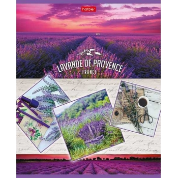 Тетрадь 96л в клетку Hatber Лавандовые сны арт.96Т5В1/080267