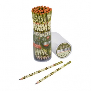 Карандаш Bruno Visconti HB ч/гр.  FunGraphix. Динозавр, трехгранный, пластик.корпус арт.21-0073/07