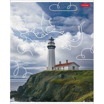 Тетрадь 48л в клетку  пластиковая обложка Hatber Во сне и наяву арт.48Т5В1пл/087648