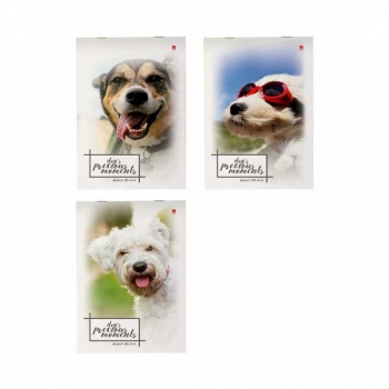 Блокнот А5 40л на скрепке Щеночки  в клетку, ассорти 3 вида арт.3-40-578