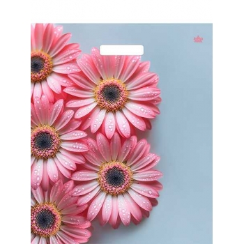 Мешок 45х38см ПВД 60мкм ламинированный с вырубной ручкой, Герберы Шанис арт.н00303202