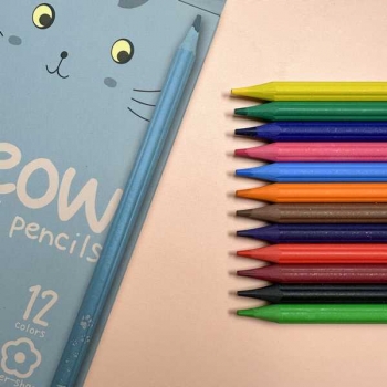 Карандаши Bruno Visconti   12цв MEOW пластиковые, корпус в виде цветка, в картонной уп. арт.30-0132