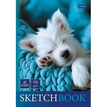 Скетчбук-блокнот А5 40л. на склейке Hatber Носики и ушки, 100г/м2, глянц. лам., жесткая подложка арт.40Б5лAк/087786